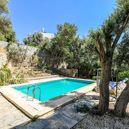 Leo Bodrum *