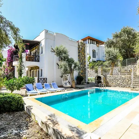 Leo Bodrum *