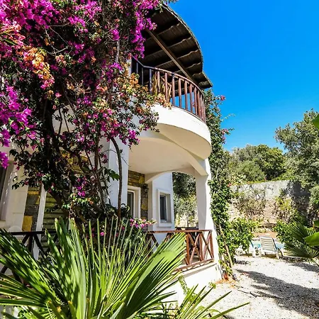 Villa Leo Bodrum Yalikavak