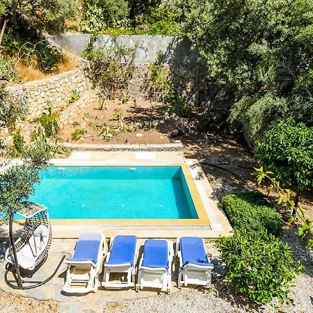 Leo Bodrum
