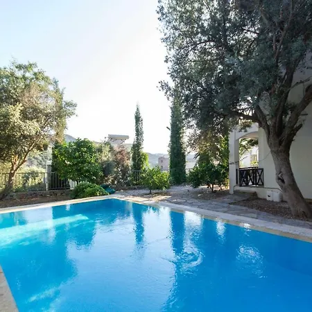 Leo Bodrum Villa *